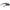 Black Women Sunglasses