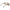 Cream Women Sunglass