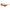 Orange Women Sunglasses