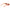 Orange Women Sunglasses