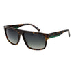 Brown Men Sunglasses