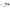 Gray Men Sunglasses