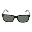 Brown Men Sunglasses