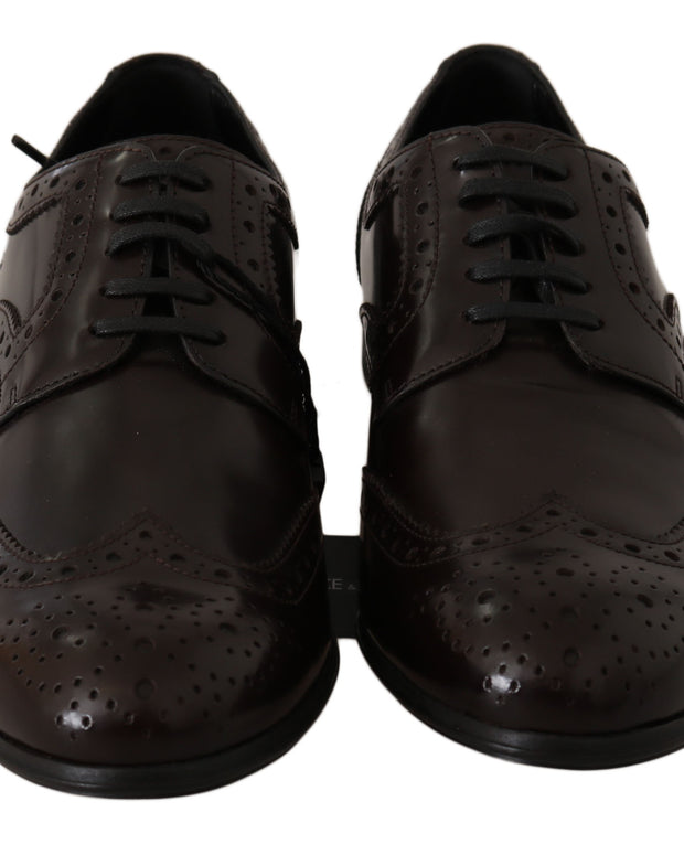 Brown Leather Broques Oxford Wingtip Shoes