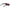 Brown Women Sunglasses