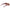 Red Women Sunglasses
