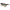 Brown Women Sunglasses