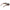 Brown Women Sunglasses