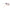 White Women Sunglasses