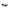 Brown Plastic Sunglasses