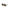 Brown Acetate Women Sunglass