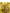 Yellow Polyester Leopard Midi Sheath Dress