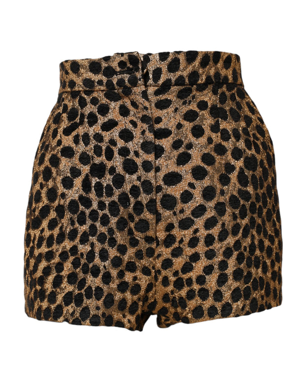 Brown Leopard High Waisted Hot Pants Shorts