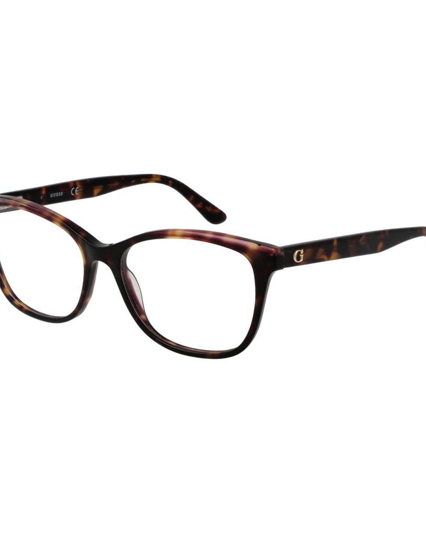 Brown Plastic Glasses (Frames)