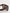 Dark Brown Havana DG4398F Square Frame Eyewear Sunglasses