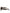 Dark Brown Havana DG4398F Square Frame Eyewear Sunglasses
