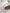 White Acetate Next Generation Mask Eyewear Sunglasses