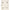 Cotton Trench Coat