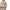 Beige Cashmere Poncho