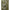 Green Viscose Skirt