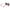 Brown Women Sunglass