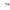Pink Women Sunglasses