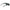 Black Men Sunglasses