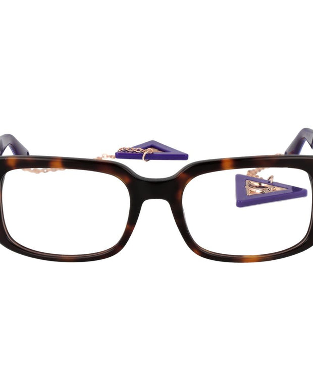 Brown Acetate Glasses (Frames)