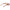 Brown Unisex Optical Frames