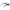 Multicolor Women Sunglasses