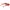 Red Women Sunglasses