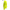 Yellow Nylon Jacket