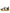 Multicolor Daymaster Low Top Sneakers Shoes
