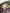 Multicolor Jacquard Floral Document Briefcase Bag