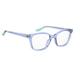 Blue Acetate Frames