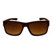 Brown Injected Sunglasses