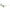 White Acetate Sunglasses