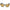 Yellow Acetate Sunglasses