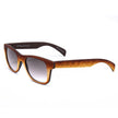 Brown Acetate Sunglasses