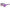 Purple Acetate Sunglasses