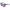 Purple Acetate Sunglasses