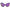Purple Acetate Sunglasses