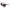 Brown Acetate Sunglasses