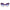 Purple Acetate Sunglasses