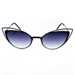 Black Metal Sunglasses