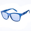 Blue Acetate Sunglasses