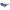 Blue Acetate Sunglasses
