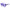 Purple Acetate Sunglasses