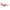 Brown Acetate Sunglasses