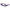 Purple Acetate Sunglasses
